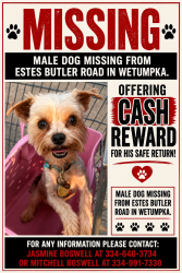 Lost Male Dog last seen Estes Butler Road, Elmore County, AL 36092