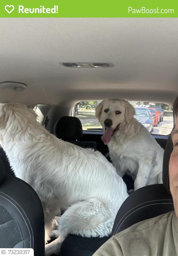 Reunited Male Dog last seen Last seen W Chicago St & S 44th St, Rapid City, SD 57702
