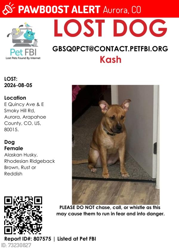 Lost Female Dog last seen Quincy and Smoky Hill Rd, Aurora, CO 80015