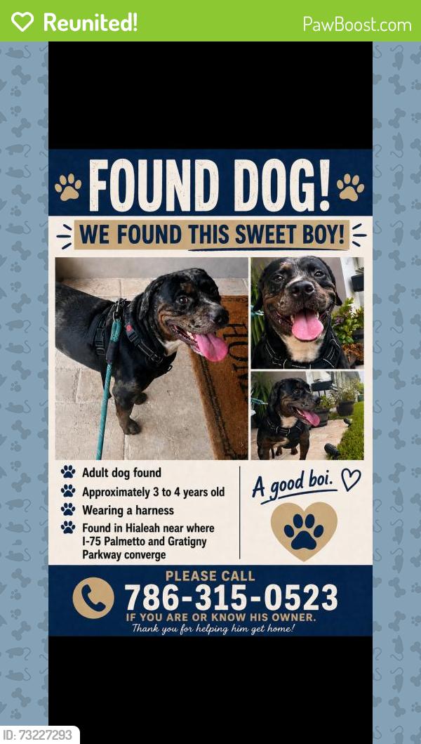 Reunited Male Dog last seen Miami Gardens, FL 33014, USA, Miami Gardens, FL 33014