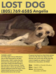Lost Male Dog last seen Near Estrada Ave Atascadero, CA 93422, Atascadero, CA 93422