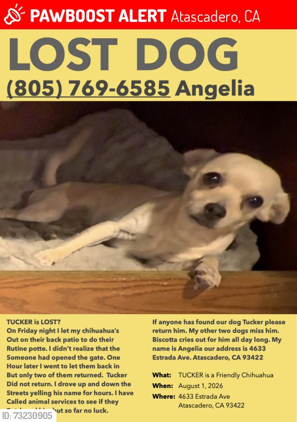 Lost Male Dog last seen Near Estrada Ave Atascadero, CA 93422, Atascadero, CA 93422