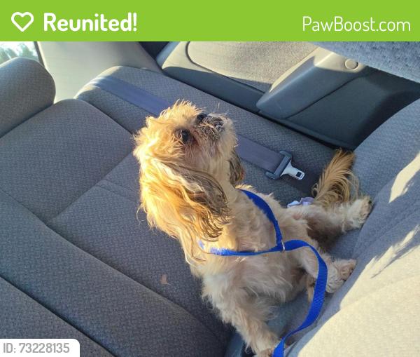 Reunited Male Dog last seen 22nd St and Mildred in University Place by TCC, University Place, WA 98466
