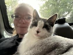 Lost Male Cat last seen D and 19th st ne, Salem, OR 97301