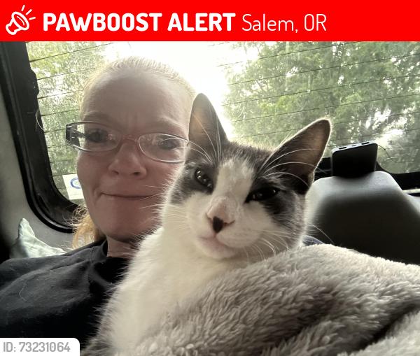 Lost Male Cat last seen D and 19th st ne, Salem, OR 97301