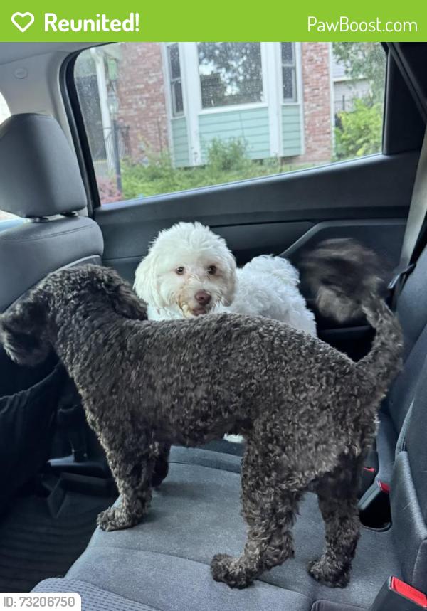 Reunited Unknown Dog last seen Along West Toll Gate Creek Trail, Aurora, CO 80013