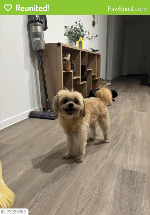 Reunited Male Dog last seen Serene Pine Drive, Magnolia, TX, Montgomery County, TX 77355
