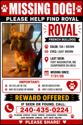 Reunited Female Dog last seen Aragona and 210 Livingston Road, Fort Washington, MD 20744