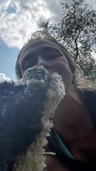 Reunited Male Dog last seen M-15/ E France, Otisville, MI 48463