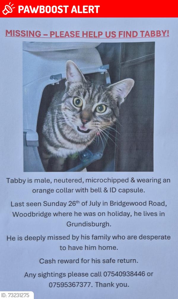 Lost Male Cat last seen Bridgewood Road, Woodbridge, Suffolk, England IP12 4HA