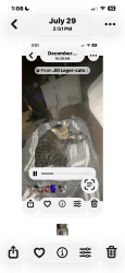 Lost Male Cat last seen Magellan/Hwy 1252, Carencro, LA 70520