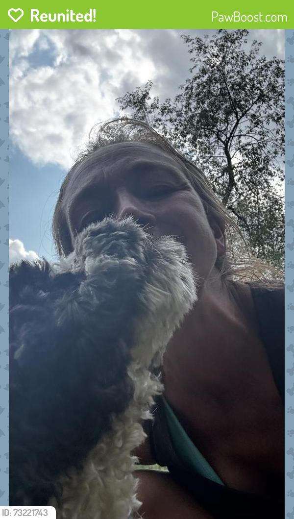 Reunited Male Dog last seen M-15/ E France, Otisville, MI 48463