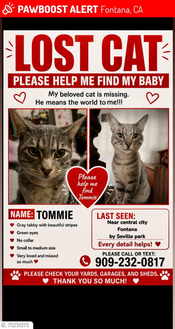 Lost Male Cat last seen Seville and juniper, Fontana, CA 92335