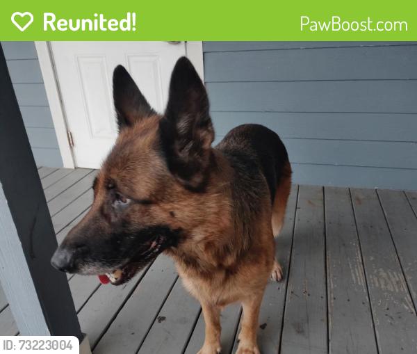 Reunited Male Dog last seen Avenue B and Dundas CT., Fort Pierce, FL 34950