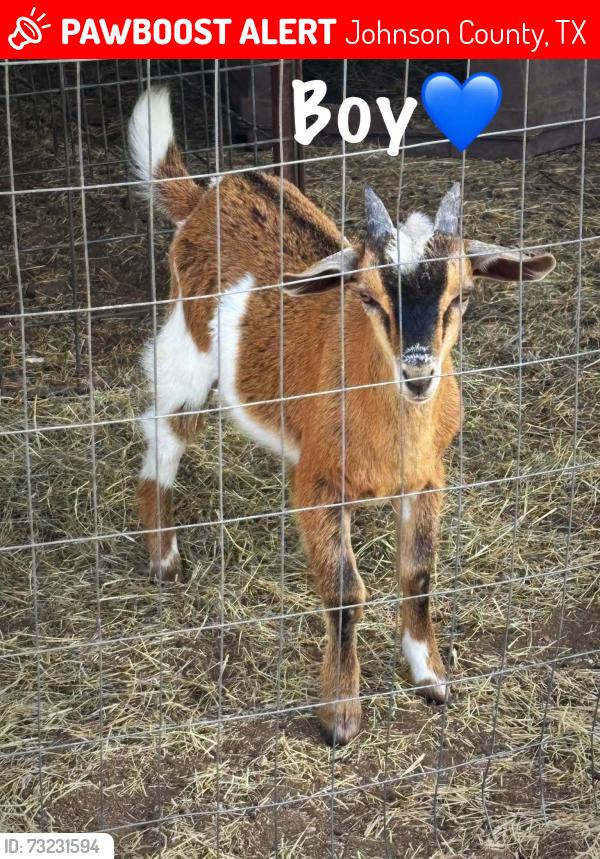 Lost Male Other last seen Near E, Johnson County, TX 76058