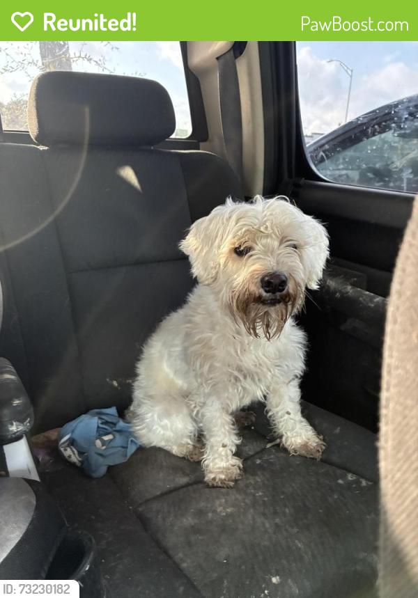 Reunited Female Dog last seen Mainland trailhead, San Antonio, TX 78250