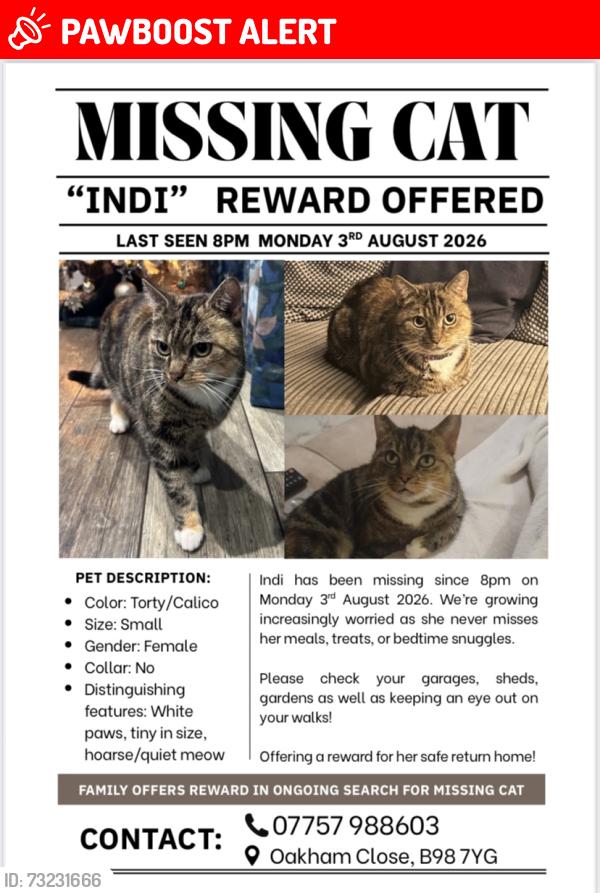 Lost Female Cat last seen REDDITCH, Worcestershire, England B98 7UW