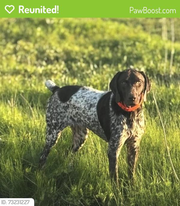 Reunited Female Dog last seen South Alvarado Elementary, Alvarado, TX 76009