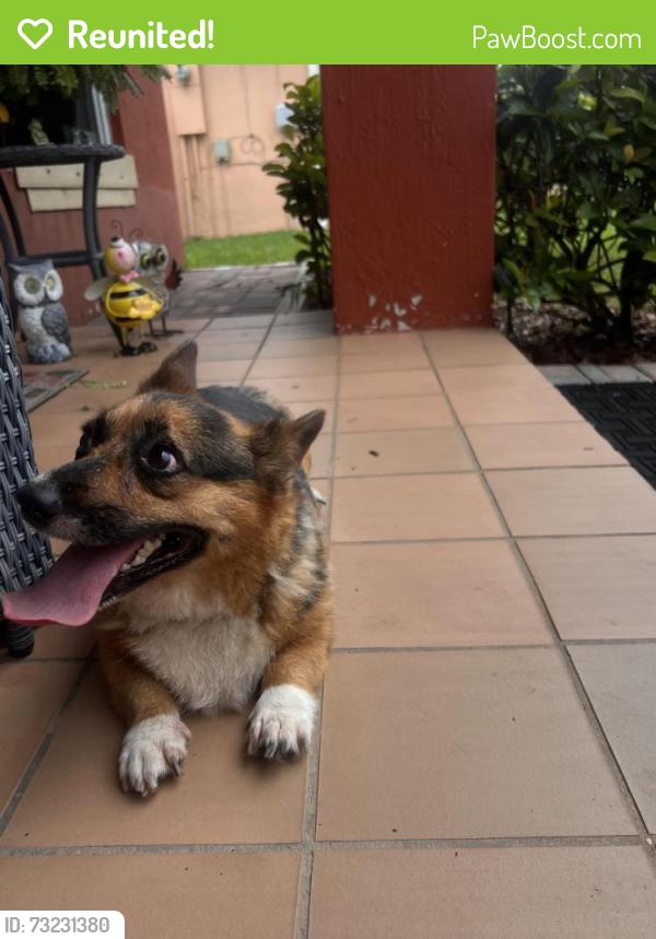 Reunited Unknown Dog last seen Near sw 245 th st hmstd fl 33032, Homestead, FL 33032