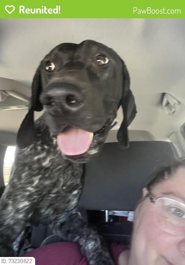 Reunited Male Dog last seen County Road 207, Alvarado, TX 76009