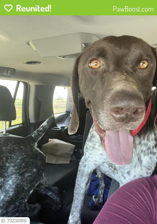 Reunited Female Dog last seen County road 207, Alvarado, TX 76009