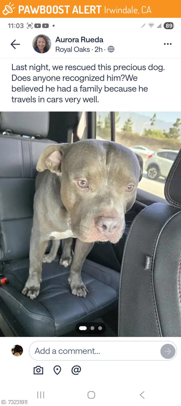 Found/Stray Male Dog last seen On the bridge between Irwindale and Duarte, Irwindale, CA 91722