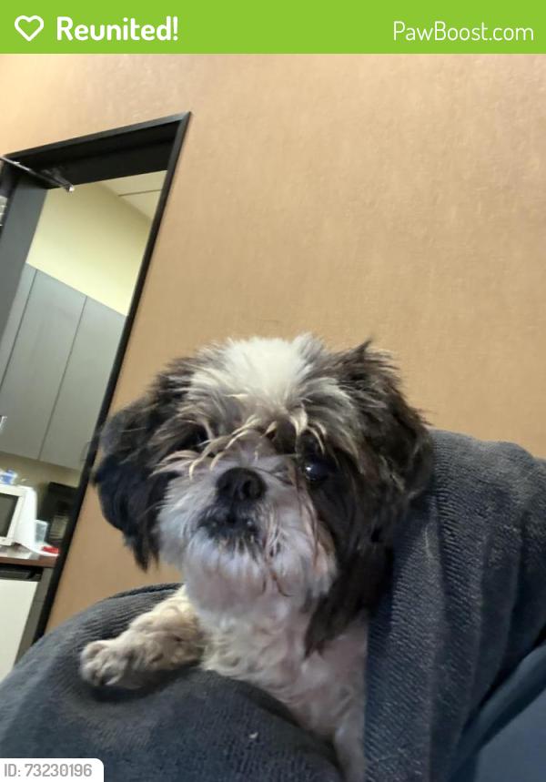Reunited Female Dog last seen Near wheeler, La Verne, CA 91773
