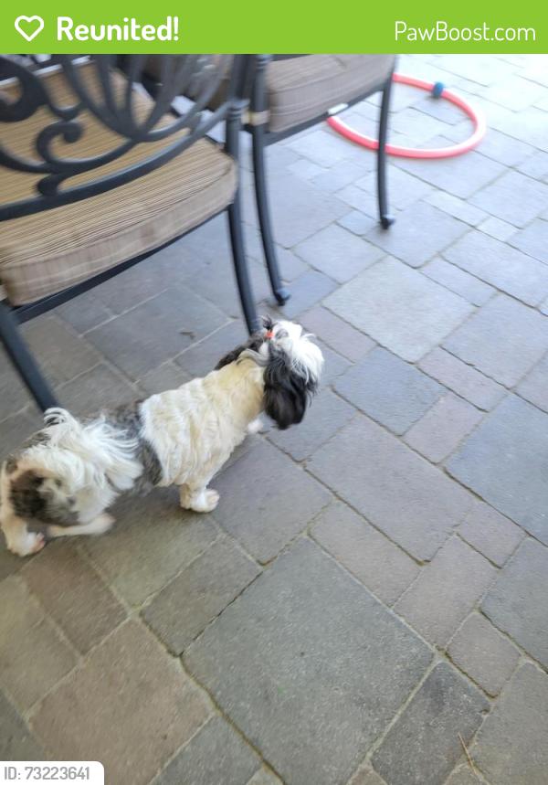 Reunited Unknown Dog last seen Evergreen ave, Fullerton, CA 92835