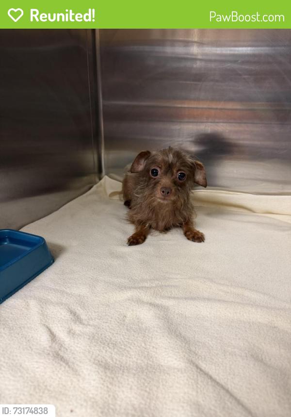 Reunited Female Dog last seen Middle of highway 276, West Tawakoni, TX 75474