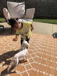 Lost Female Dog last seen Golod way and Golod ct, Stonecrest, GA 30038