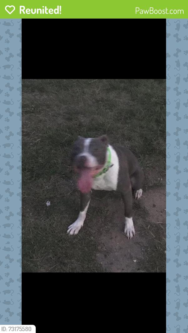 Reunited Male Dog last seen Mcdougal dr, Fayetteville, NC 28304
