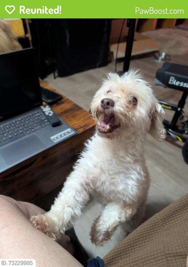 Reunited Female Dog last seen Shannon Way and Kemp, Gwinnett County, GA 30044