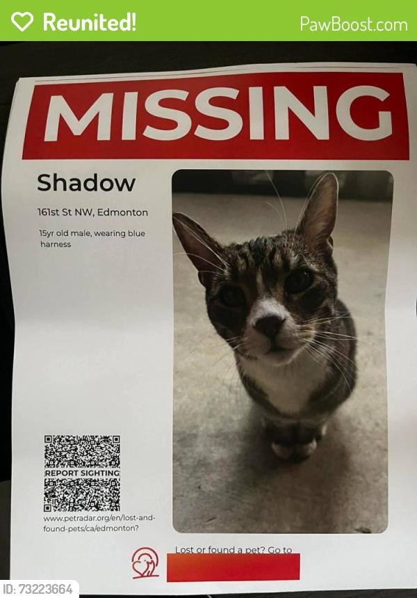 Reunited Male Cat last seen 161st 102Ave, Edmonton, AB 