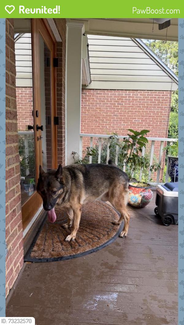 Reunited Male Dog last seen Near Miller Landing Rd, Tallahassee, FL 32312, USA, Tallahassee, FL 32312