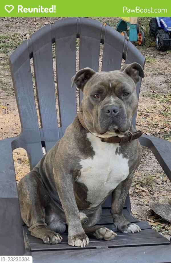 Reunited Male Dog last seen Old Concord Rd, Smyrna, GA 30082