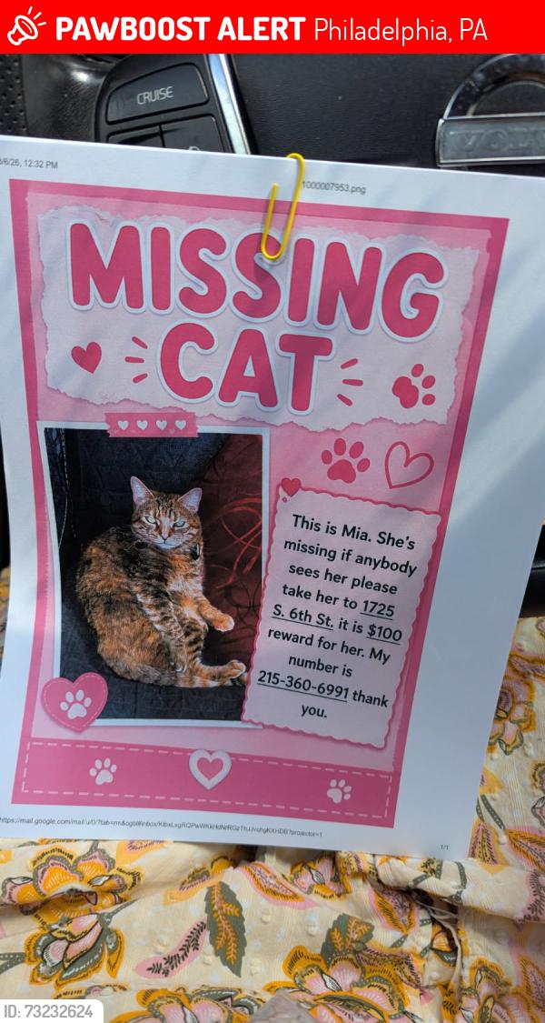 Lost Female Cat last seen 6th and Pierce streets, Philadelphia, PA 19148