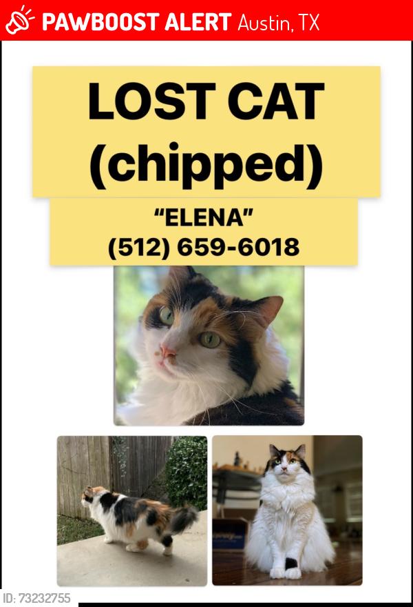 Lost Female Cat last seen Lakecreek Pkwy & Pecan Creek Pkwy, Austin, TX 78750