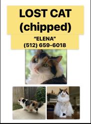 Lost Female Cat last seen Lakecreek Pkwy & Pecan Creek Pkwy, Austin, TX 78750