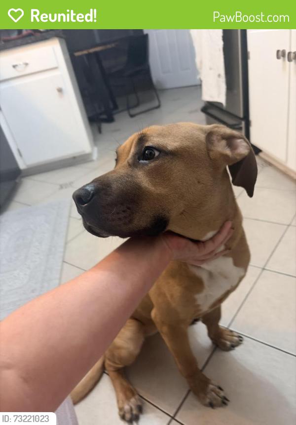 Reunited Female Dog last seen Cassam rd, Durham County, NC 27503