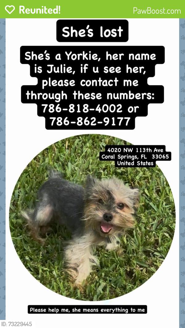 Reunited Female Dog last seen Near Nw 113th Ave Coral Springs FL 33065, Coral Springs, FL 33065