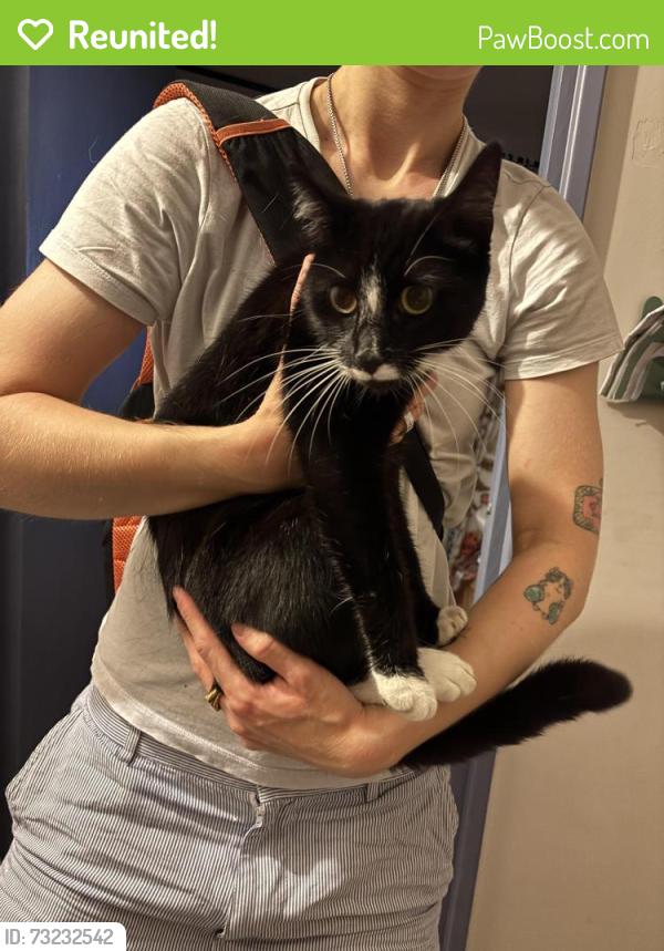 Reunited Unknown Cat last seen Purwell Meadows, Hertfordshire, England SG4 0NN