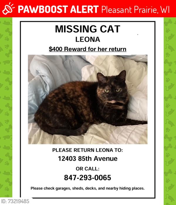 Lost Female Cat last seen Near 85th Avenue, Pleasant Prairie, WI, Pleasant Prairie, WI 53158