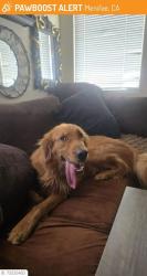 Reunited Male Dog last seen Rouse Rd, Menifee, CA 92585