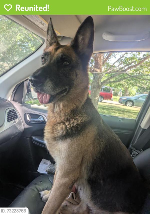 Reunited Female Dog last seen William Cannon/Sunstrip, Austin, TX 78745