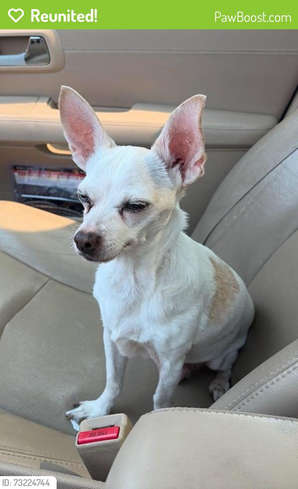 Reunited Male Dog last seen Newberg, OR, Newberg, OR 97132