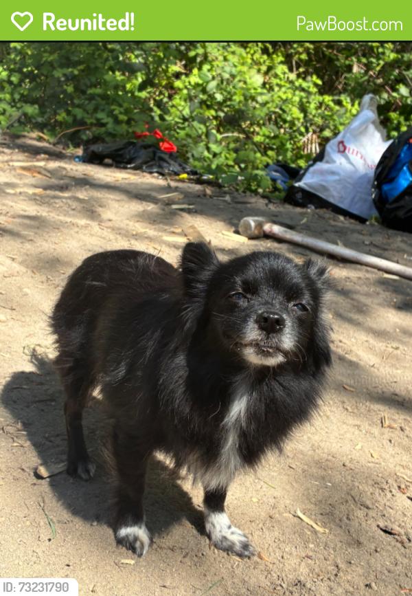 Reunited Female Dog last seen Devon Storage, Portland, OR 97217