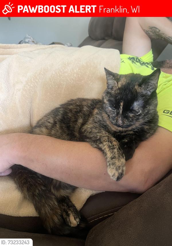 Lost Female Cat last seen 76th and Rawson, Franklin, WI 53132