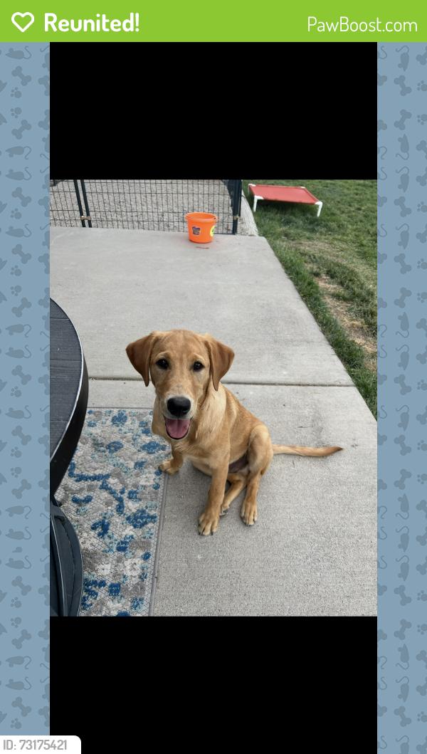 Reunited Male Dog last seen Highway 79, Bonifay, FL 32425