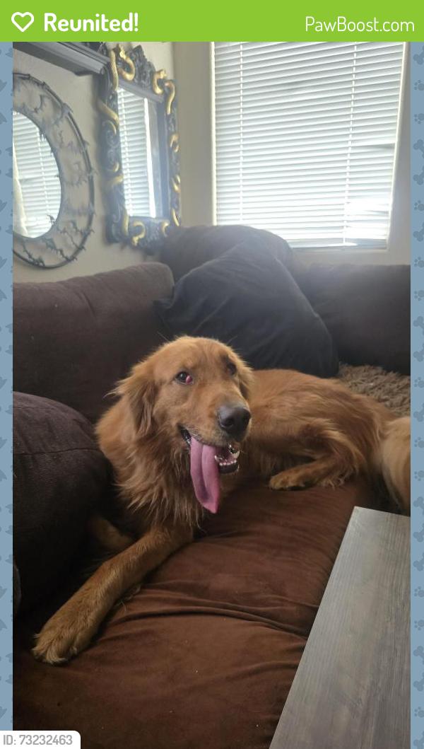 Reunited Unknown Dog last seen Vanilla Ct, Menifee, CA 92585, USA, Menifee, CA 92585