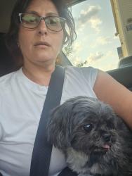 Reunited Female Dog last seen Behind whataburger on hwy 46 across from clear springs, New Braunfels, TX 78130